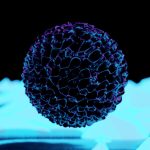 Representação digital de uma partícula viral com detalhes luminosos em fundo escuro